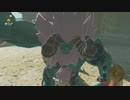 軽い縛りとマスターモードでゼルダの伝説ブレスオブザワイルドpart17。