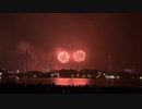 fireworks 水族館 I 蓮尾紀樹 by蓮尾紀樹