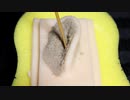 【ASMR】耳奥に溜まった砂耳垢が永遠に取れない奥行き耳かき【音フェチ】