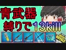 【フォートナイト】青武器縛りで13killビクロイ！！【ゆっくり実況】