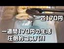 【餌やり】ボールパイソンに掛かる一週間の餌代公開!!【飼育】