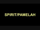 SPIRIT/PAMELAH
