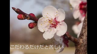 人生の詩【ボカロ】【初音ミク】【新曲】【オリジナル曲】