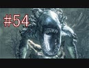 Bloodborne 最高難易度7周目 本編＆DLC全ボス撃破 全ED制覇 実況プレイ #54