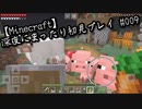 【Minecraft】深夜にまったり初見プレイ#9