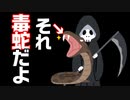 【採取】野生の毒蛇を捕まえちゃう件について【気をつけよう】