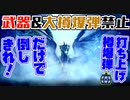 【MHWI】イヴェルカーナ決戦！打上タル爆弾だけで倒しきれ！？