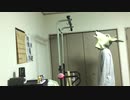 けんすいをする。