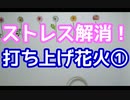 ストレス解消！打ち上げ花火①　スーパー発達メンター　NLPer　親子発達お悩み相談室　子ども　発達支援　コーチ　ティーチ　メンター　心理　感覚統合　原始反射　視覚　大脳　EQ　IQ