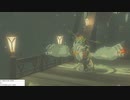 軽い縛りとマスターモードでゼルダの伝説ブレスオブザワイルドpart22。