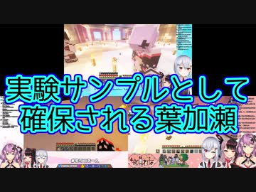 【Minecraft】実験サンプルとして確保される葉加瀬【にじさんじ】