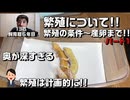 【繁殖】レオパ繁殖に挑戦！！【繁殖方法】