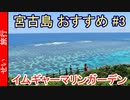 宮古島で必ず行きたい！おすすめスポット #3 イムギャーマリンガーデン