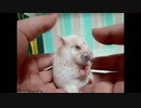 へんしん