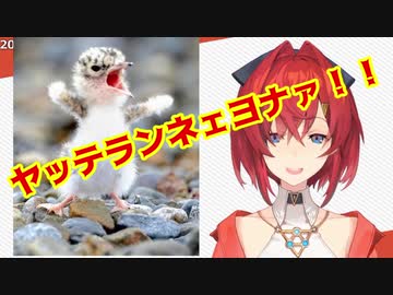 アンジュ・ツライーナ　東京の雨空の下で泣く