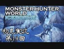 【初見実況】MHW:アイスボーン 第14回【手汗かきハンター】