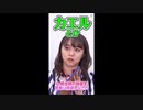 むろたん　かっさー　珍解答