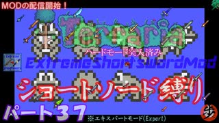 [Terraria+MOD]　ショートソード縛りEX パート３７　[ゆっくり実況]