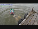 続・まりゑプロデュース【フライボードをプロデュース】
