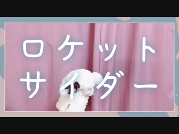 【1匹】ロケットサイダー【踊ってみた】□
