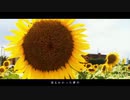 【未熟者とドシロートが】あの夏のいつかは【歌わせて頂きました】