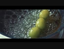青春の夏を思い出すシャインマスカット飴の作り方