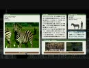 PS3 アフリカ　AFRIKA　PV1(H.264)