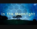 In the Moonlight / shimtone feat. joy