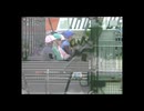 [海外競馬]　第138回 愛ダービー Alamshar