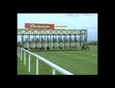 [海外競馬]　第139回 愛ダービー Grey Swallow