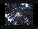 楽曲　鏡の受難