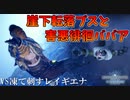 【MHWI】徘徊BBAを救う為に凍て刺すレイギエナを狩らねばならない人参おじさん