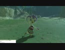 軽い縛りとマスターモードでゼルダの伝説ブレスオブザワイルドpart25。