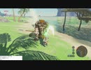 軽い縛りとマスターモードでゼルダの伝説ブレスオブザワイルドpart30。