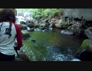 オリジナル曲　ヘヴィメタル「OKAMA never comes」　弾いてみたおかま