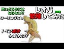 【繁殖】レオパ繁殖に挑戦！！　実践編第2回戦　クーリングなし!!【繁殖方法】