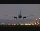 Plane Landing From Behind　アセアンファーム合同会社