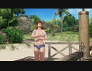 DOAX3fortune 本日のグラビアパラダイス(ランダム)  8分位/1080P/