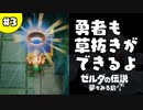 【日刊実況】名前がダサい勇者＃３【ゼルダの伝説夢をみる島】