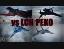 Ace Combat 7 Extra13 バトルロイヤル LCN_PEKOとのタイマン総集編