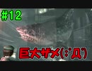 バイオハザード明るいBGMなら怖くない説【完全新感覚実況】part12