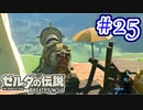 【ゼルダの伝説ブレスオブザワイルド実況】3Dで広大な世界を自由に走り回れる楽しさをおすそ分け！？part25