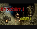 地獄の初見縛り【ダークソウルリマスター】part24