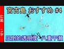 宮古島で必ず行きたい！おすすめスポット#4八重干瀬