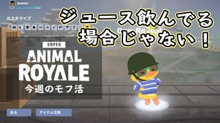 【Super Animal Royale】今週のモフ活 Part 1