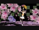 【夏色まつり】千本桜
