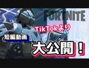 【フォートナイト】TikTokより短編動画大公開！