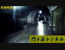 【心霊】有名心霊スポットのおまけ⁉ついでに撮った門ヶ谷トンネル【ゲッティ】