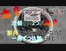 【実写】知育菓子作ってみた・おまけ１【いつものメンバー＋α】