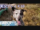 ファークライ5【ジョン・シード篇】実況プレイ＃10